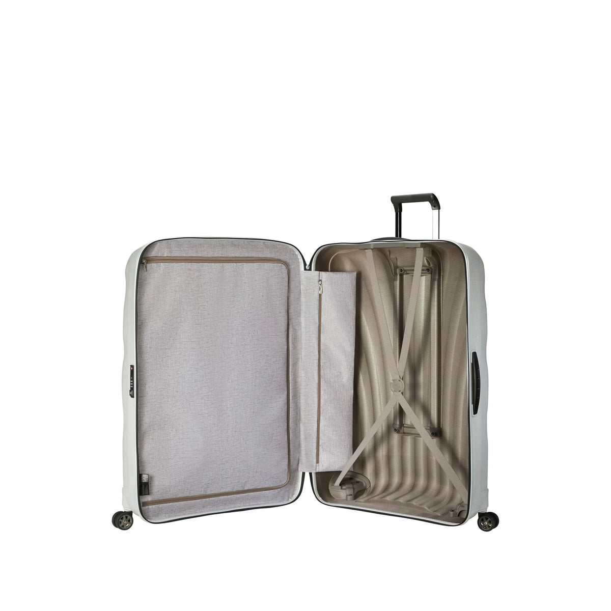 C-Lite Large Spinner